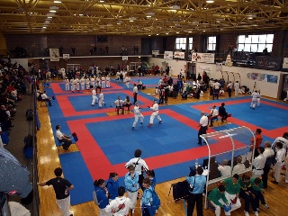 Image description